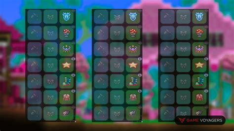 how to get extra accessory slot terraria
